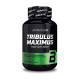 Трибулус (Tribulus) Tribulus Maximus (90 tabs)