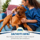 Фурмінатор FURminator для собак з короткою шерстю Short Hair розмір L