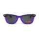 Окуляри захисні Swag Hipster-4 Purple (gray), сірі